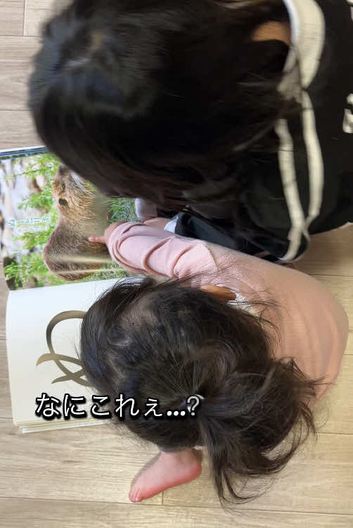 人生はなんて生きずらいのか。 のサムネイル